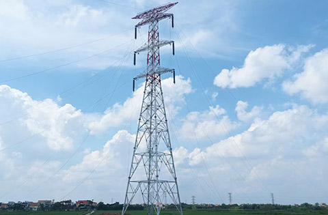 Le domaine du r&eacute;seau &eacute;lectrique