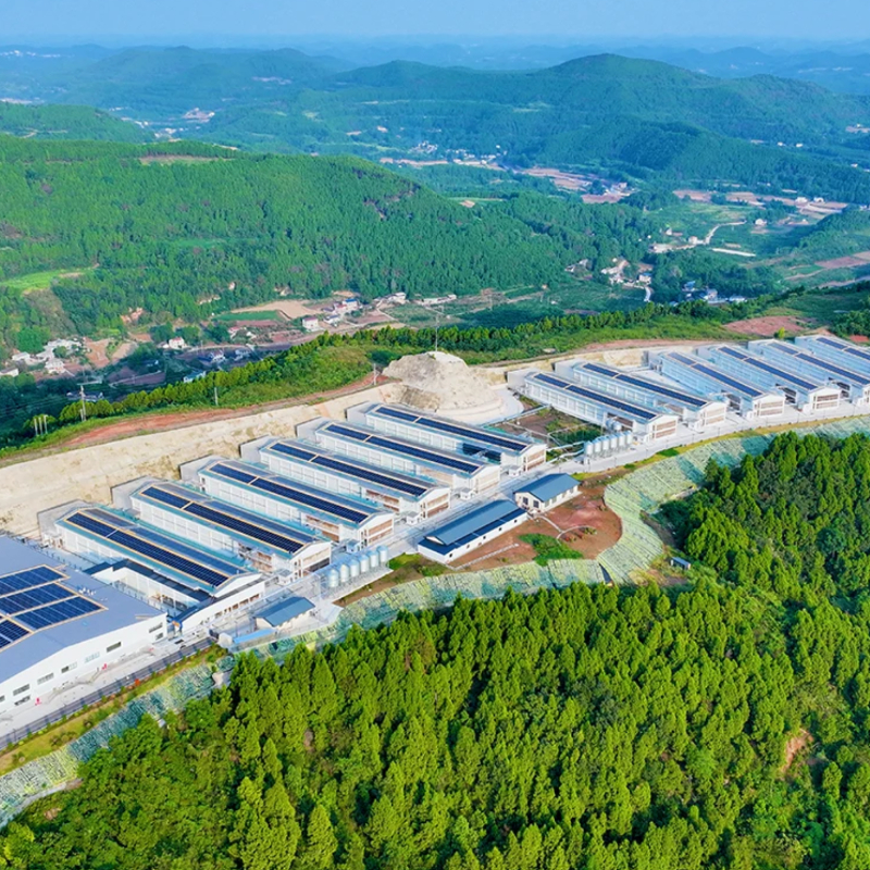 Services de projets EPC photovolta&iuml;ques